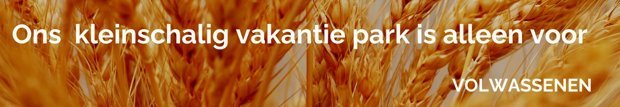 adultsonly.aleenvolwassenen. wifi, wellness