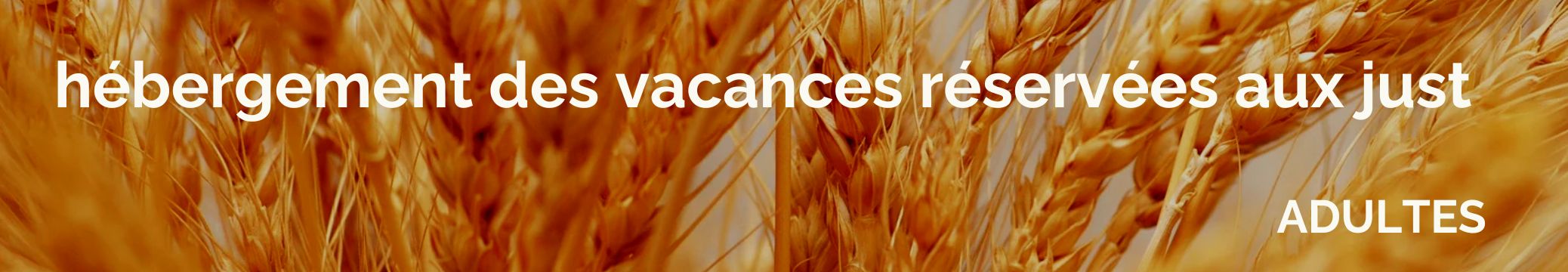 adulrs only. alleenvolwassenen , just adults